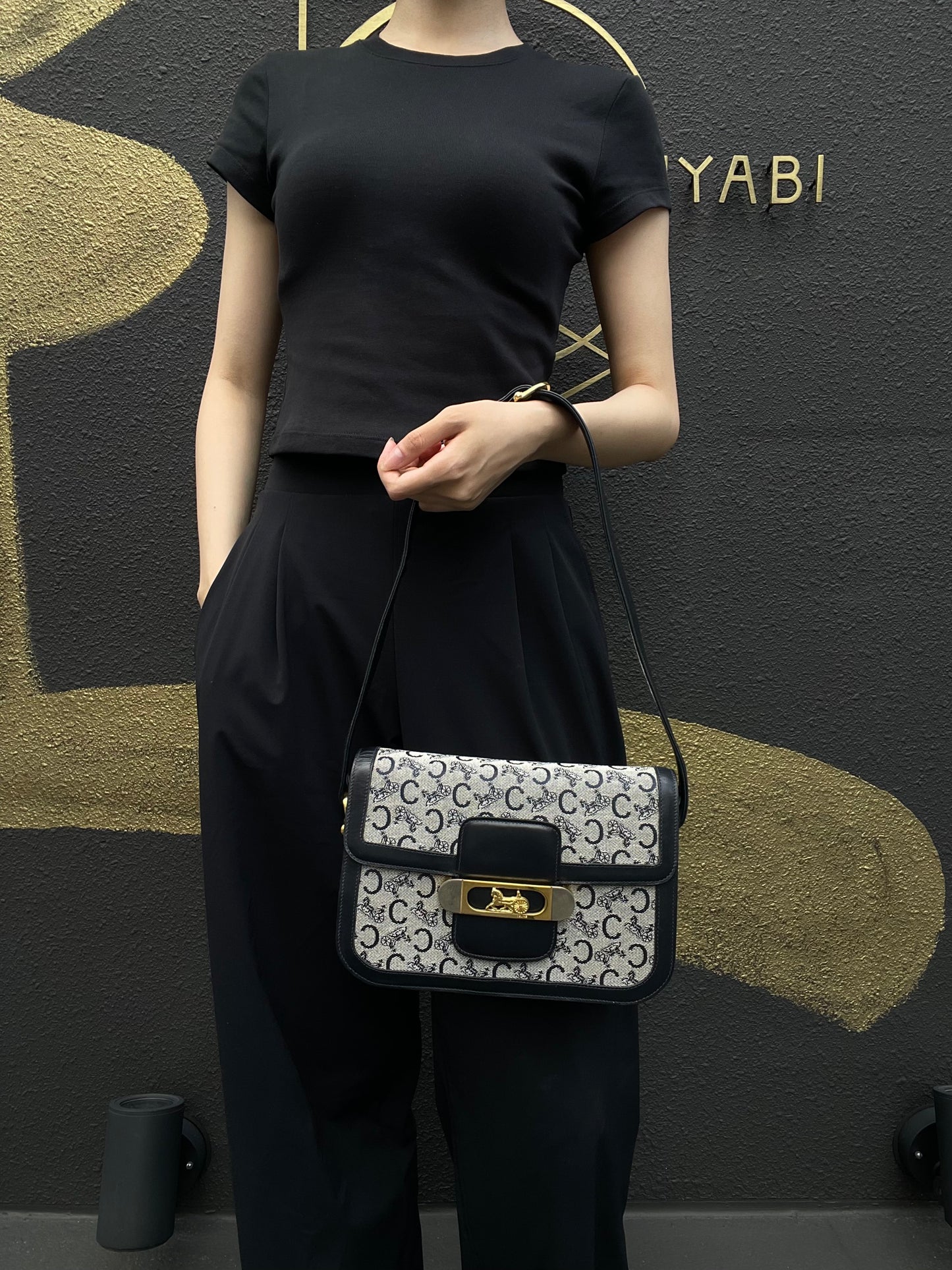 CELINE Macadam Canvas Shoulder Bag Navy Gold-Tone Horse Carriage Hardware